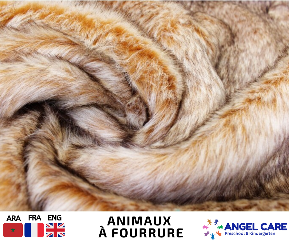 Les animaux à fourrure