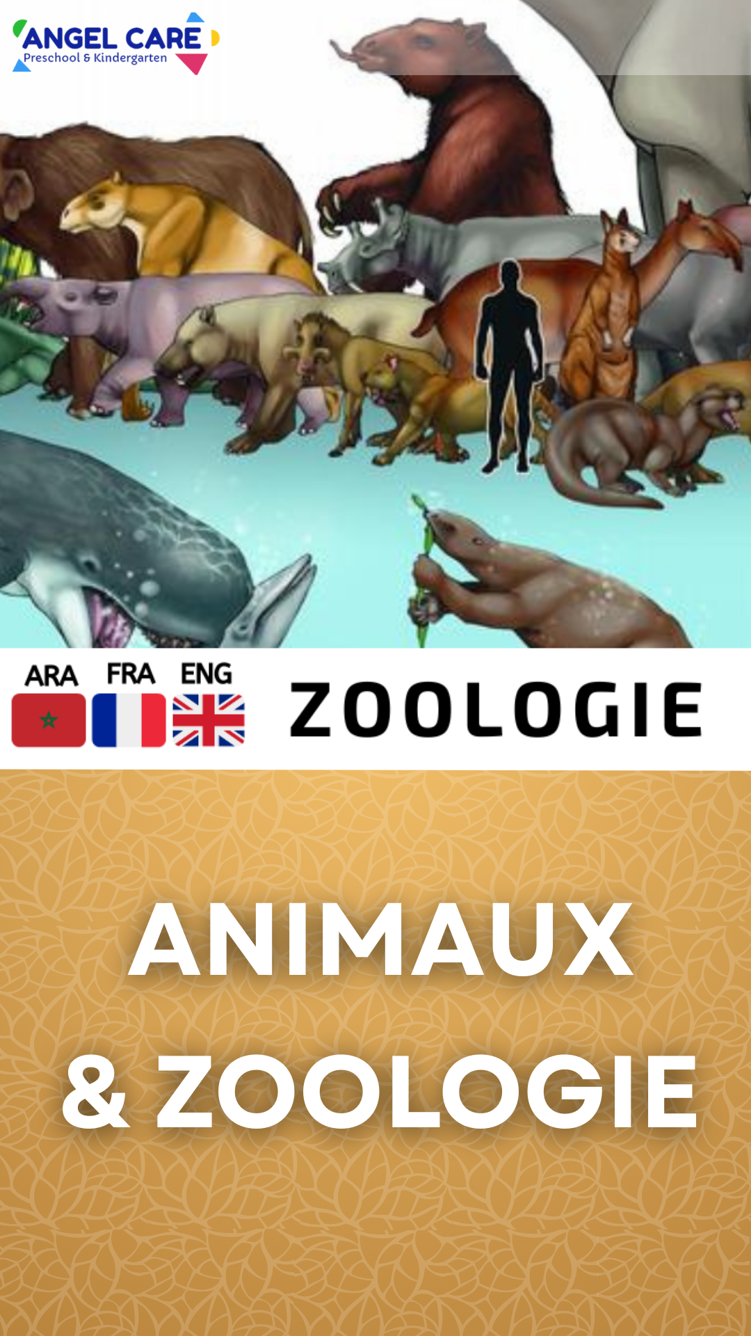 NOS PACKS FLASHCARTES ANIMAUX ET ZOOLOGIE