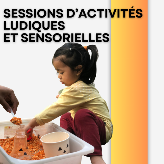 SESSION D'ACTIVITÉS LUDIQUES ET SENSORIELLES