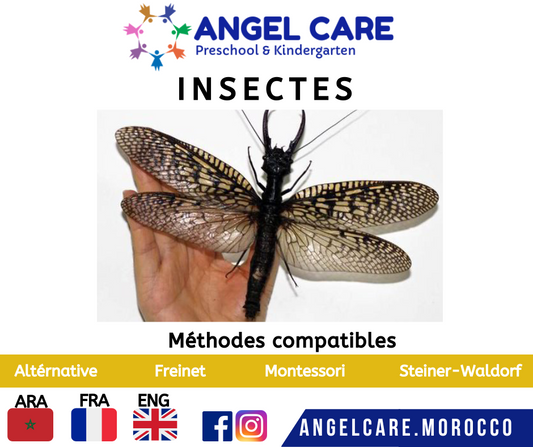 Les insectes