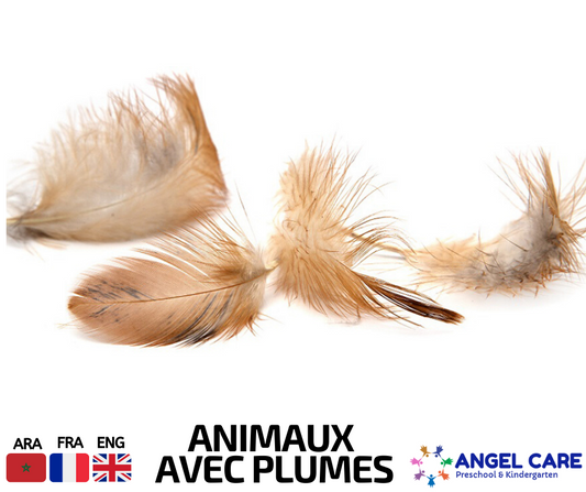 Animaux avec plume