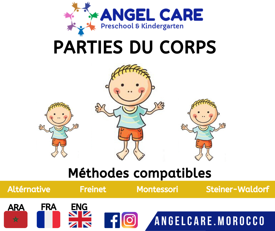 Parties du corps