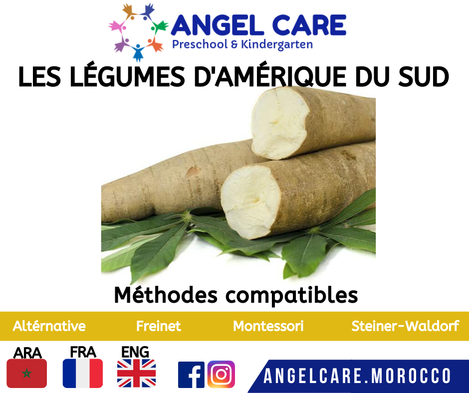 Légumes d’amérique du sud