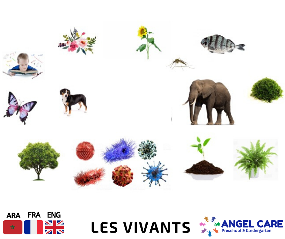 Les vivants